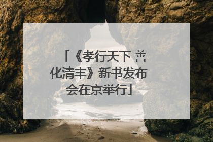 《孝行天下 善化清丰》新书发布会在京举行