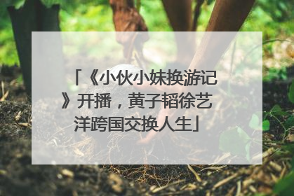 《小伙小妹换游记》开播，黄子韬徐艺洋跨国交换人生