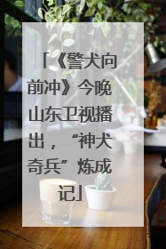 《警犬向前冲》今晚山东卫视播出，“神犬奇兵”炼成记
