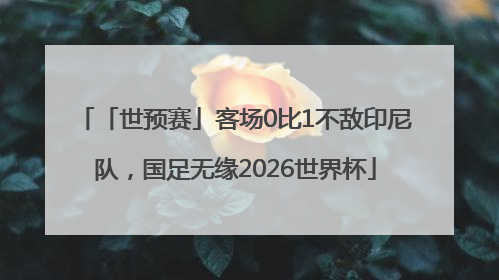 「世预赛」客场0比1不敌印尼队，国足无缘2026世界杯