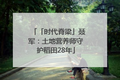 「时代脊梁」聂军：土地营养师守护稻田28年