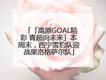 「高原GOAL精彩 青超向未来」本周末，西宁雪豹队迎战果洛格萨尔队