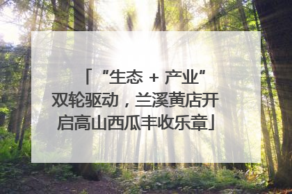 “生态 + 产业”双轮驱动，兰溪黄店开启高山西瓜丰收乐章