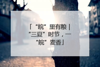 “皖”里有粮｜“三夏”时节，一“皖”麦香