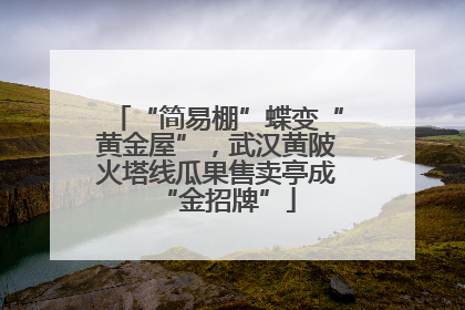 “简易棚”蝶变“黄金屋”，武汉黄陂火塔线瓜果售卖亭成“金招牌”
