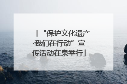 “保护文化遗产·我们在行动”宣传活动在泉举行