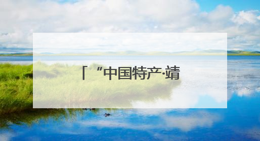 “中国特产·靖远馆”上线京东
