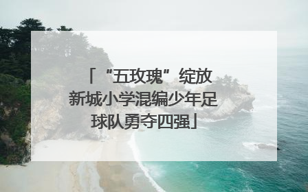 “五玫瑰”绽放 新城小学混编少年足球队勇夺四强
