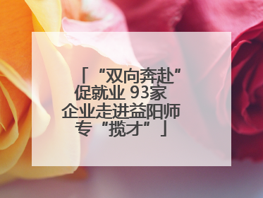 “双向奔赴”促就业 93家企业走进益阳师专“揽才”
