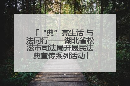 “典”亮生活 与法同行——湖北省松滋市司法局开展民法典宣传系列活动