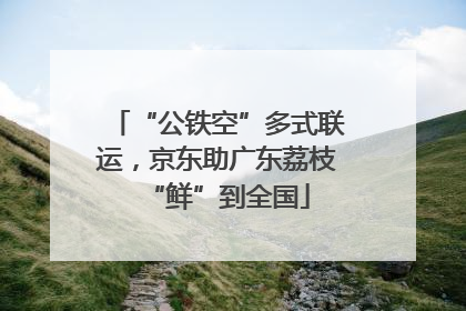 “公铁空”多式联运，京东助广东荔枝“鲜”到全国