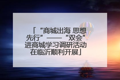 “商城出海 思想先行”——“双会”进商城学习调研活动在临沂顺利开展