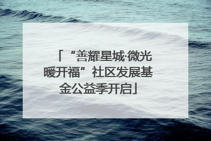 “善耀星城·微光暖开福”社区发展基金公益季开启