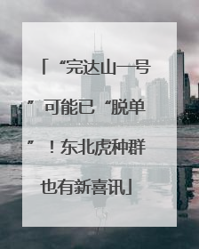 “完达山一号”可能已“脱单”！东北虎种群也有新喜讯