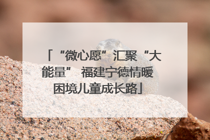 “微心愿”汇聚“大能量” 福建宁德情暖困境儿童成长路