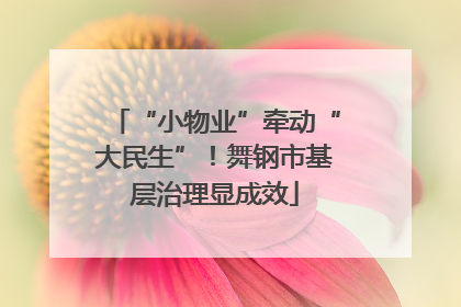 “小物业”牵动“大民生”！舞钢市基层治理显成效