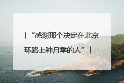 “感谢那个决定在北京环路上种月季的人”