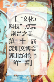 “文化+科技”点亮荆楚之美 第二十一届深圳文博会湖北馆抢“鲜”看