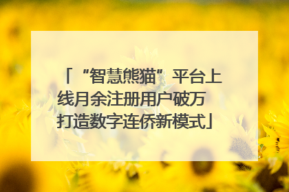 “智慧熊猫”平台上线月余注册用户破万 打造数字连侨新模式