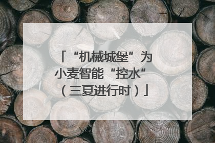 “机械城堡”为小麦智能“控水”（三夏进行时）