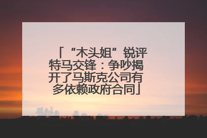 “木头姐”锐评特马交锋：争吵揭开了马斯克公司有多依赖政府合同