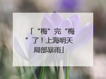 “梅”完“梅”了！上海明天局部暴雨