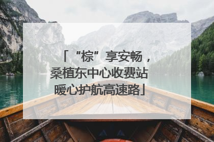 “棕”享安畅，桑植东中心收费站暖心护航高速路