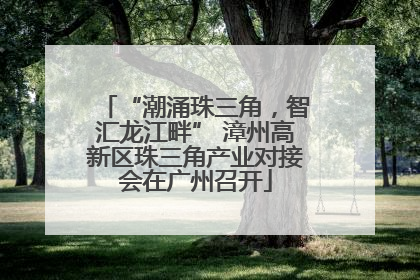 “潮涌珠三角，智汇龙江畔” 漳州高新区珠三角产业对接会在广州召开