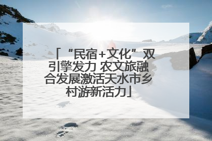 “民宿+文化”双引擎发力 农文旅融合发展激活天水市乡村游新活力