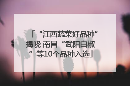 “江西蔬菜好品种”揭晓 南昌“武阳白椒”等10个品种入选