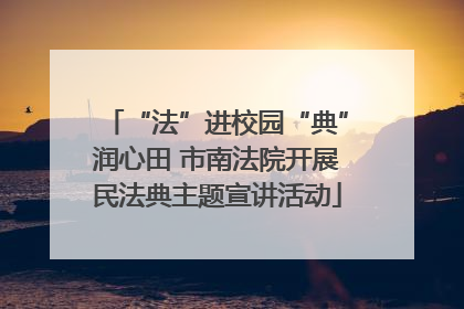 “法”进校园“典”润心田 市南法院开展民法典主题宣讲活动