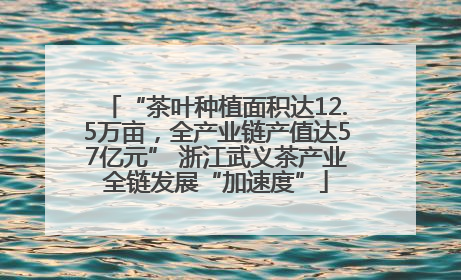 “茶叶种植面积达12.5万亩，全产业链产值达57亿元” 浙江武义茶产业全链发展“加速度”