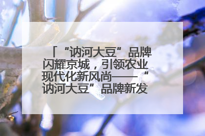 “讷河大豆”品牌闪耀京城，引领农业现代化新风尚——“讷河大豆”品牌新发地推介会圆满落幕
