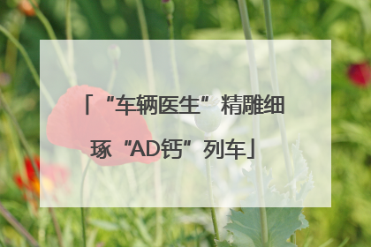 “车辆医生”精雕细琢“AD钙”列车