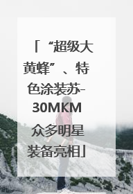 “超级大黄蜂”、特色涂装苏-30MKM 众多明星装备亮相