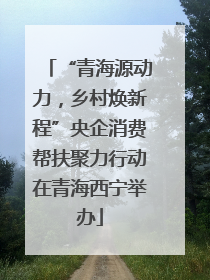 “青海源动力，乡村焕新程”央企消费帮扶聚力行动在青海西宁举办