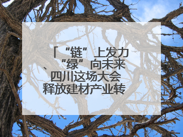 “链”上发力、“绿”向未来 四川这场大会释放建材产业转型升级新动能