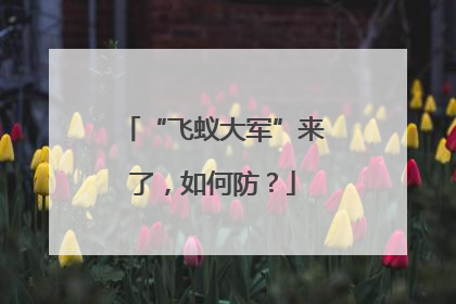 “飞蚁大军”来了，如何防？