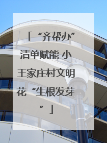 “齐帮办”清单赋能 小王家庄村文明花“生根发芽”