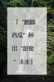 “麒麟西瓜”种出“甜蜜”未来