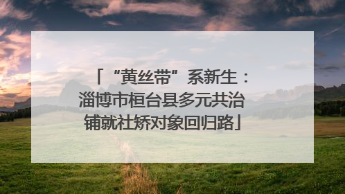“黄丝带”系新生：淄博市桓台县多元共治铺就社矫对象回归路