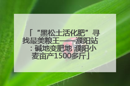 “黑松土活化肥”寻找最美粮王——濮阳站：碱地变肥地 濮阳小麦亩产1500多斤