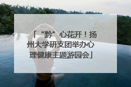 “黔”心花开！扬州大学研支团举办心理健康主题游园会