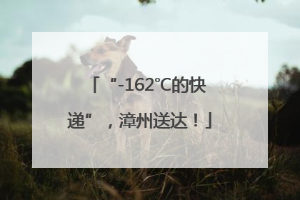 “-162℃的快递”，漳州送达！