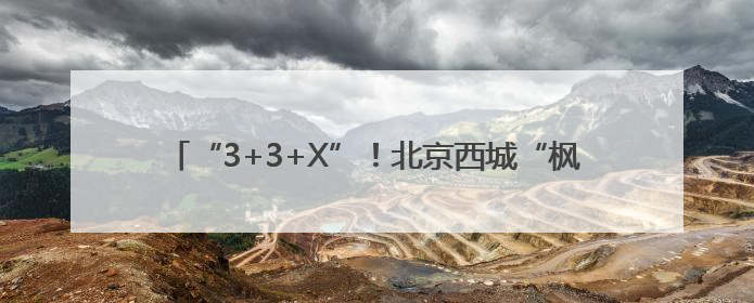 “3+3+X”！北京西城“枫桥式”派出所里的矛盾调解密码