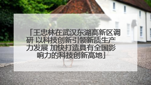 王忠林在武汉东湖高新区调研 以科技创新引领新质生产力发展 加快打造具有全国影响力的科技创新高地