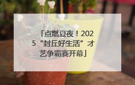 点燃夏夜！2025“封丘好生活”才艺争霸赛开幕