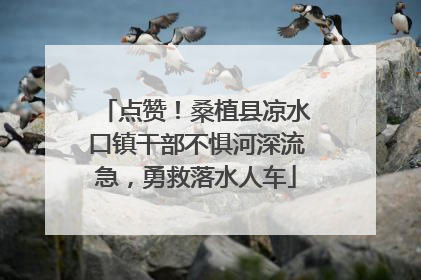点赞！桑植县凉水口镇干部不惧河深流急，勇救落水人车