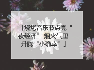 烧烤音乐节点亮“夜经济” 烟火气里升腾“小确幸”