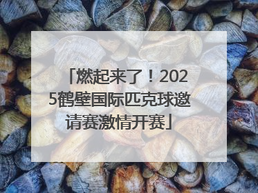 燃起来了！2025鹤壁国际匹克球邀请赛激情开赛